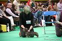 Crufts2011_2 1439